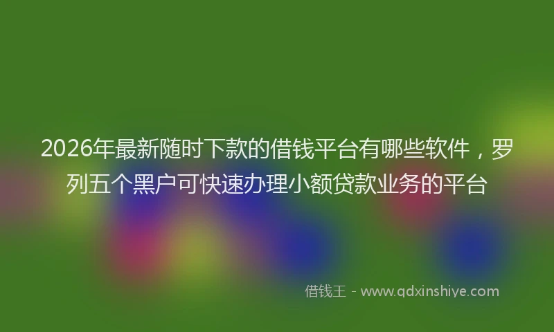 2026年最新随时下款的借钱平台有哪些软件，罗列五个黑户可快速办理小额贷款业务的平台