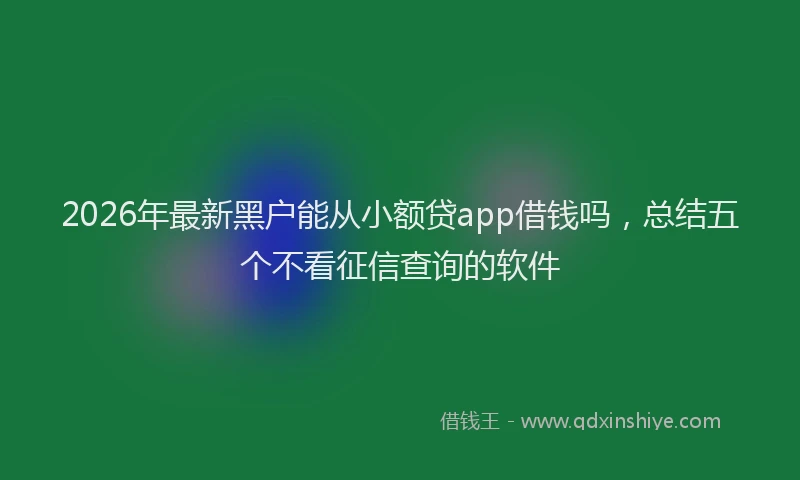 2026年最新黑户能从小额贷app借钱吗，总结五个不看征信查询的软件