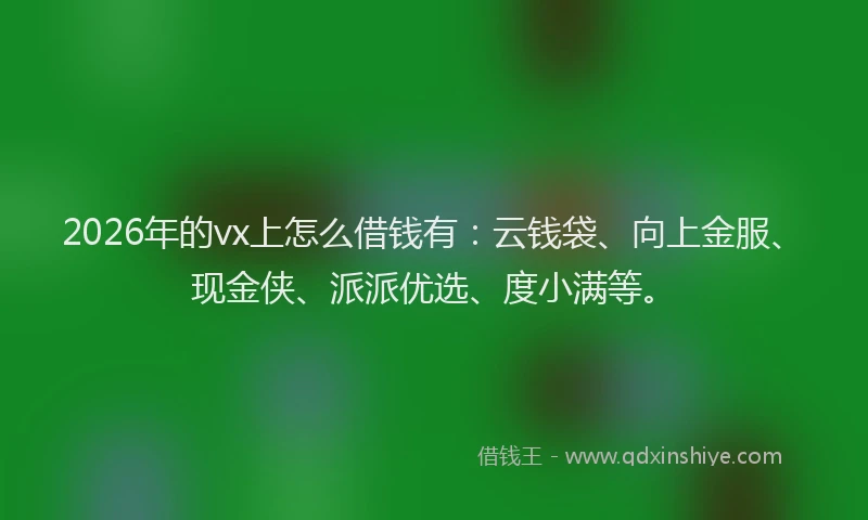 2026年的vx上怎么借钱有：云钱袋、向上金服、现金侠、派派优选、度小满等。