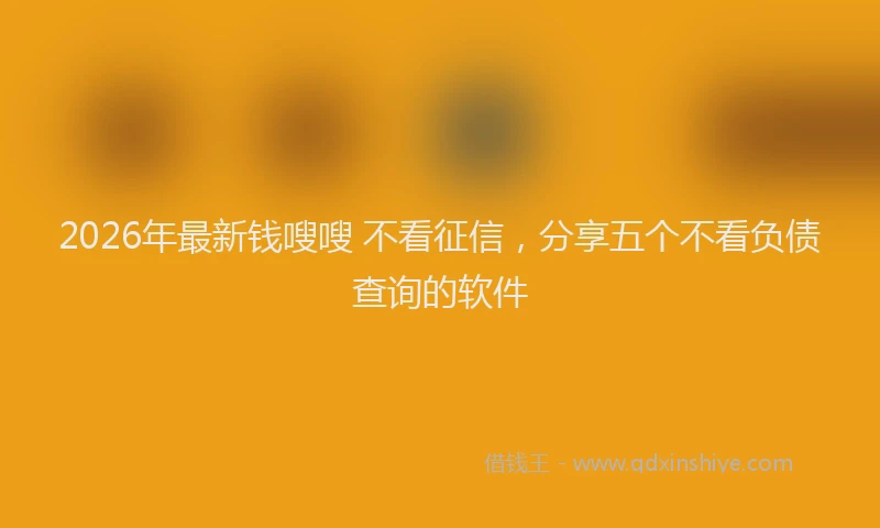 2026年最新钱嗖嗖 不看征信，分享五个不看负债查询的软件