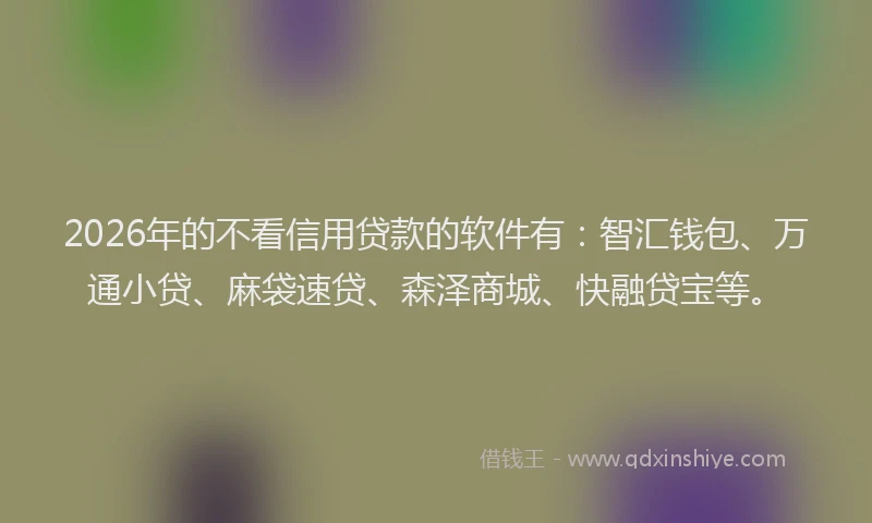 2026年的不看信用贷款的软件有：智汇钱包、万通小贷、麻袋速贷、森泽商城、快融贷宝等。