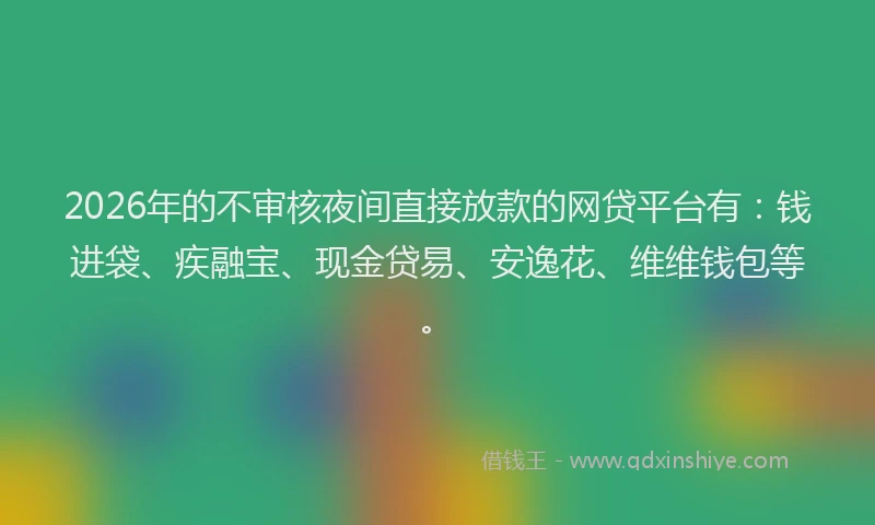 2026年的不审核夜间直接放款的网贷平台有：钱进袋、疾融宝、现金贷易、安逸花、维维钱包等。