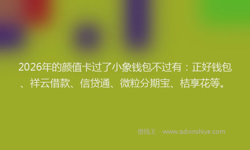 2026年的颜值卡过了小象钱包不过有：正好钱包、祥云借款、信贷通、微粒分期宝、桔享花等。