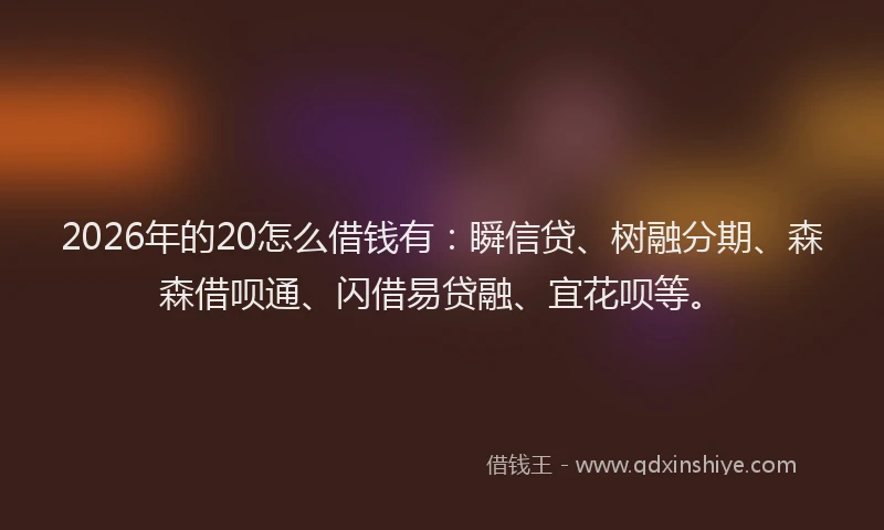 2026年的20怎么借钱有：瞬信贷、树融分期、森森借呗通、闪借易贷融、宜花呗等。