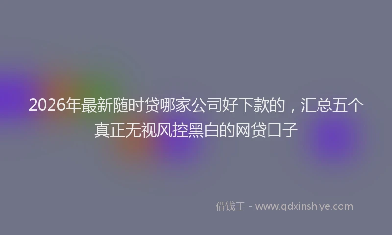 2026年最新随时贷哪家公司好下款的，汇总五个真正无视风控黑白的网贷口子