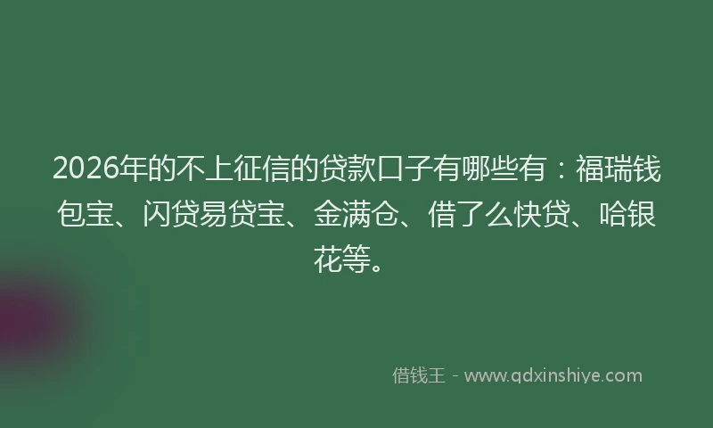 2026年的不上征信的贷款口子有哪些有：福瑞钱包宝、闪贷易贷宝、金满仓、借了么快贷、哈银花等。