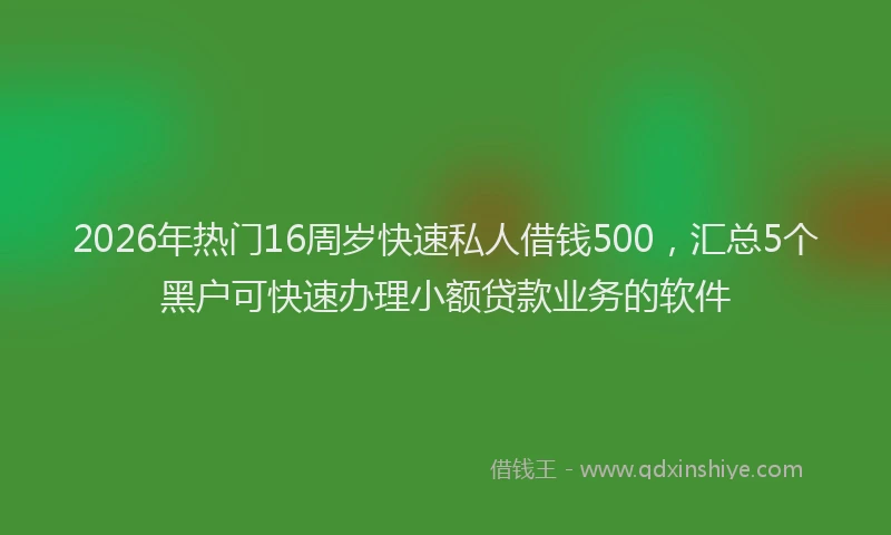 2026年热门16周岁快速私人借钱500，汇总5个黑户可快速办理小额贷款业务的软件