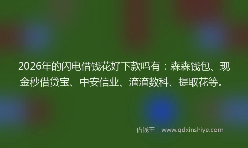 2026年的闪电借钱花好下款吗有：森森钱包、现金秒借贷宝、中安信业、滴滴数科、提取花等。