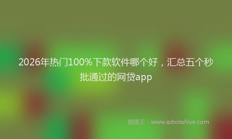 2026年热门100%下款软件哪个好，汇总五个秒批通过的网贷app