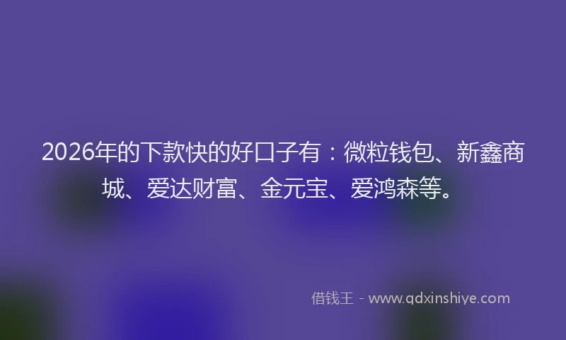 2026年的下款快的好口子有：微粒钱包、新鑫商城、爱达财富、金元宝、爱鸿森等。