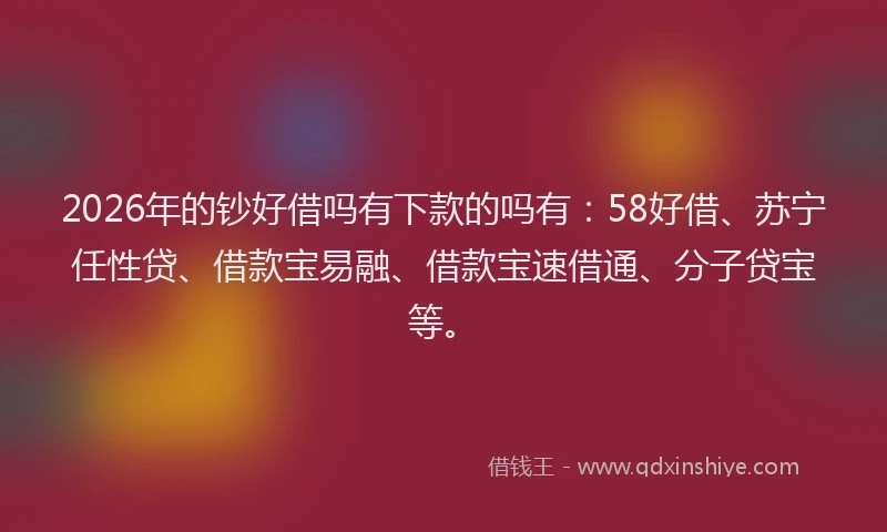 2026年的钞好借吗有下款的吗有：58好借、苏宁任性贷、借款宝易融、借款宝速借通、分子贷宝等。