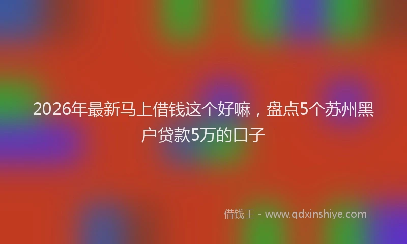 2026年最新马上借钱这个好嘛，盘点5个苏州黑户贷款5万的口子