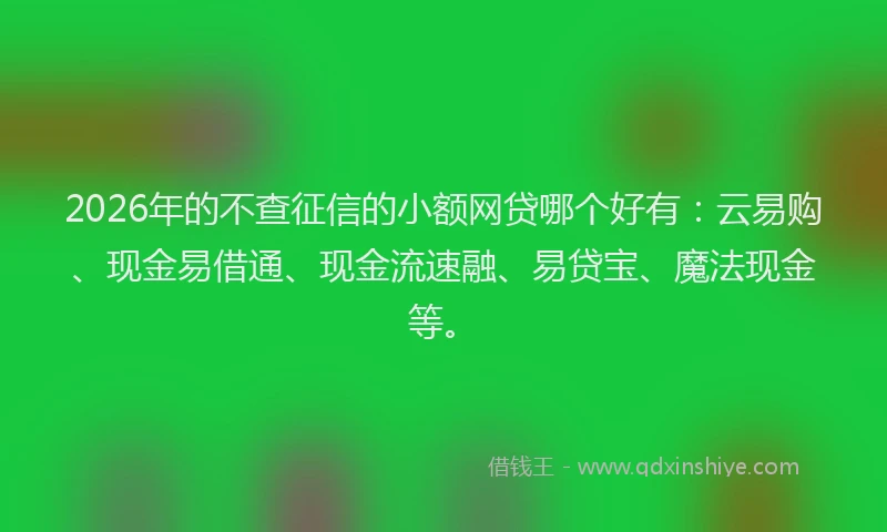2026年的不查征信的小额网贷哪个好有：云易购、现金易借通、现金流速融、易贷宝、魔法现金等。