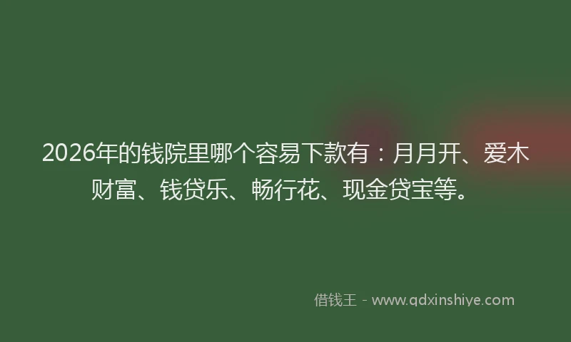 2026年的钱院里哪个容易下款有：月月开、爱木财富、钱贷乐、畅行花、现金贷宝等。