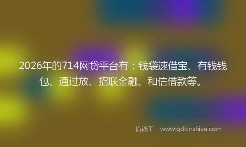 2026年的714网贷平台有：钱袋速借宝、有钱钱包、通过放、招联金融、和信借款等。