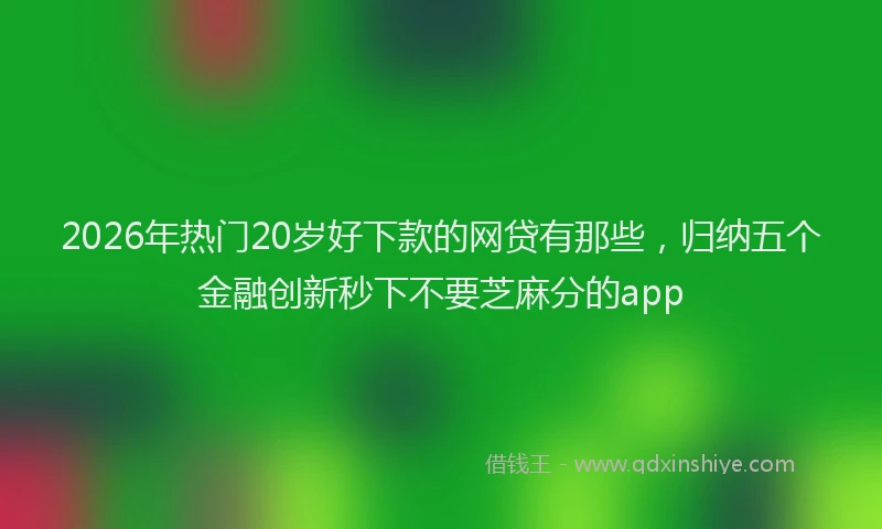 2026年热门20岁好下款的网贷有那些，归纳五个金融创新秒下不要芝麻分的app