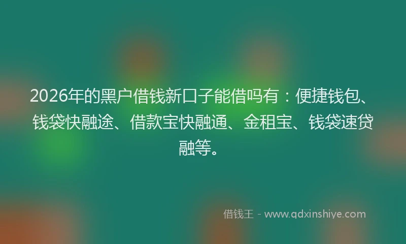 2026年的黑户借钱新口子能借吗有：便捷钱包、钱袋快融途、借款宝快融通、金租宝、钱袋速贷融等。