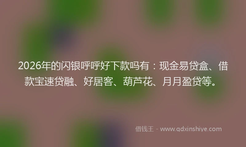 2026年的闪银呼呼好下款吗有：现金易贷盒、借款宝速贷融、好居客、葫芦花、月月盈贷等。