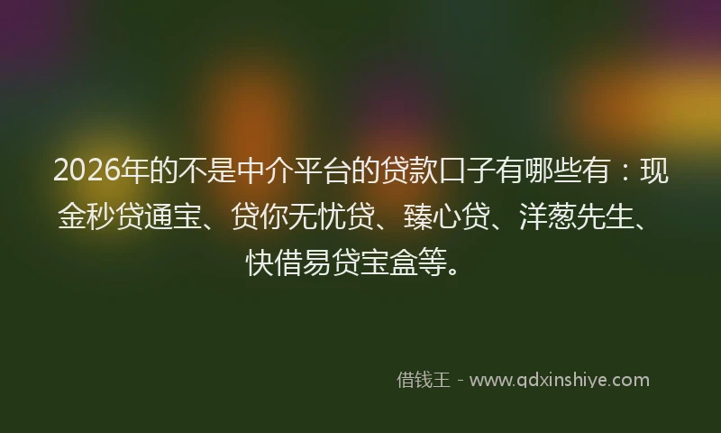 2026年的不是中介平台的贷款口子有哪些有：现金秒贷通宝、贷你无忧贷、臻心贷、洋葱先生、快借易贷宝盒等。