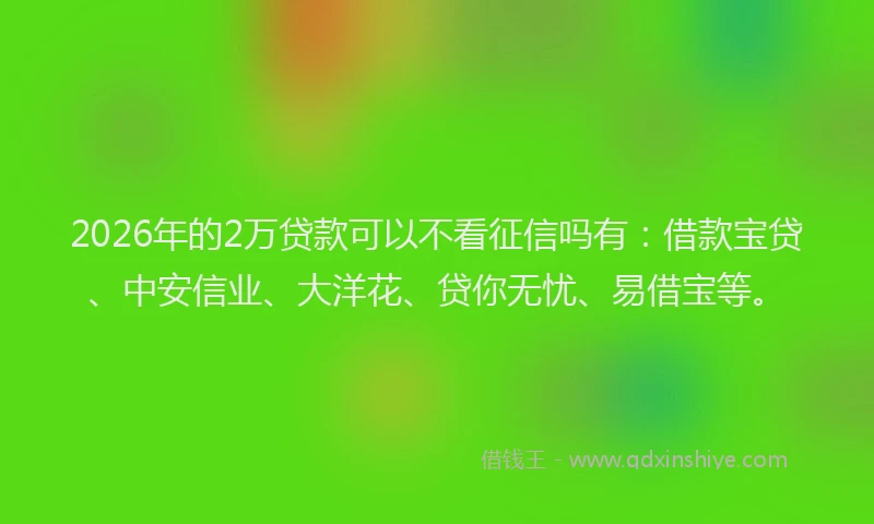 2026年的2万贷款可以不看征信吗有：借款宝贷、中安信业、大洋花、贷你无忧、易借宝等。