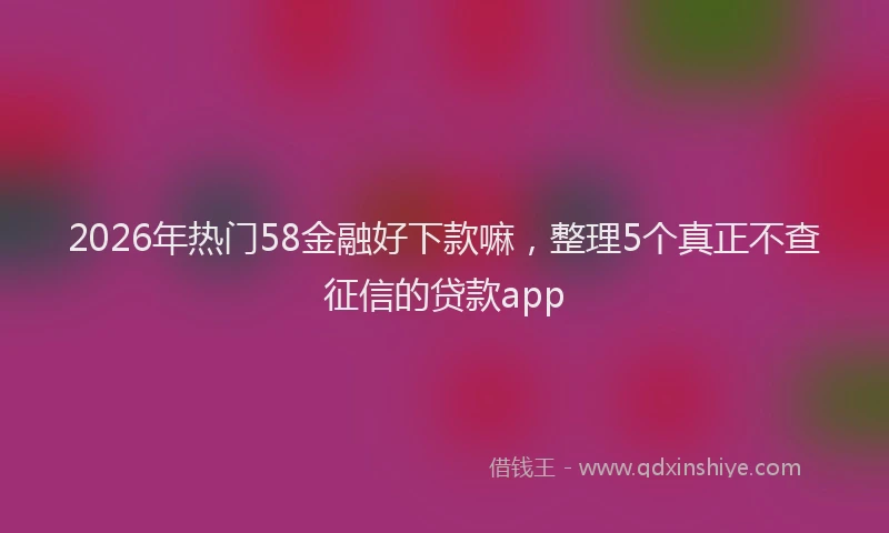 2026年热门58金融好下款嘛，整理5个真正不查征信的贷款app
