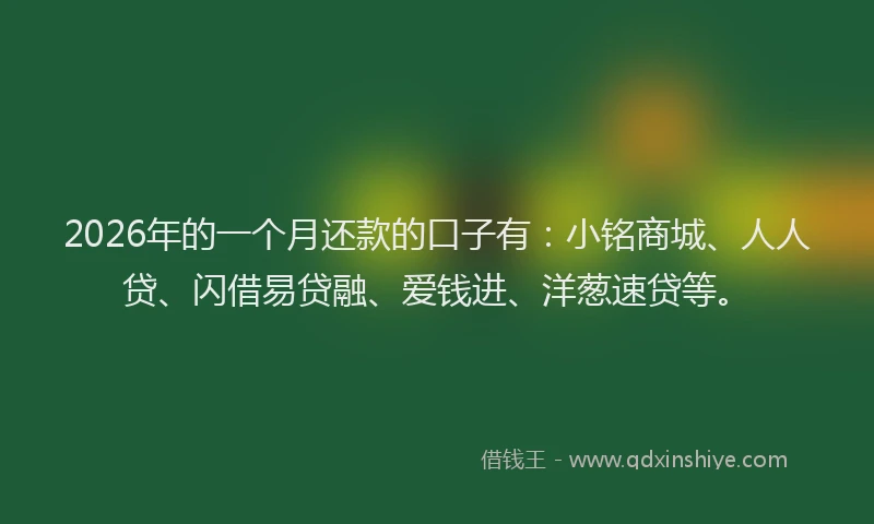 2026年的一个月还款的口子有：小铭商城、人人贷、闪借易贷融、爱钱进、洋葱速贷等。