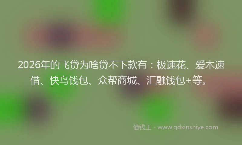 2026年的飞贷为啥贷不下款有：极速花、爱木速借、快鸟钱包、众帮商城、汇融钱包+等。