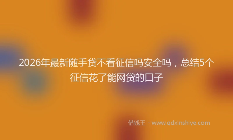 2026年最新随手贷不看征信吗安全吗，总结5个征信花了能网贷的口子