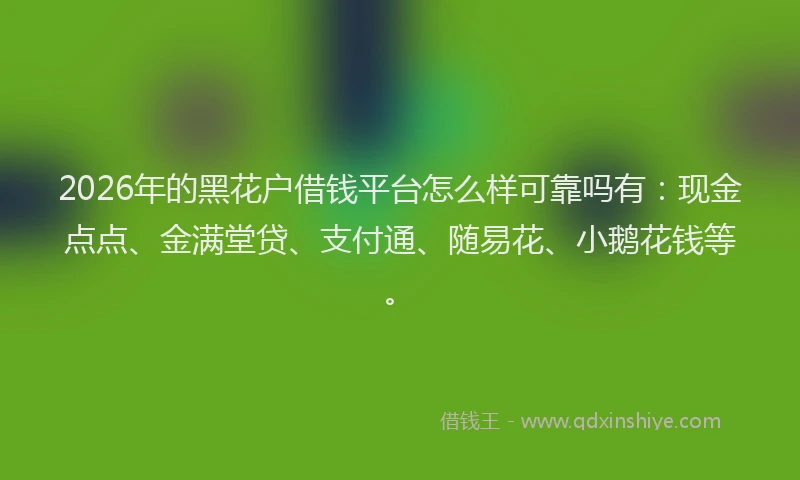 2026年的黑花户借钱平台怎么样可靠吗有：现金点点、金满堂贷、支付通、随易花、小鹅花钱等。