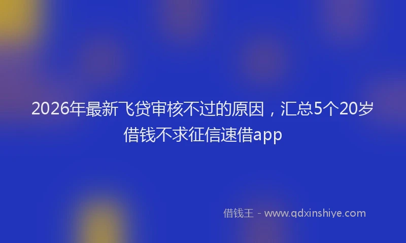 2026年最新飞贷审核不过的原因，汇总5个20岁借钱不求征信速借app