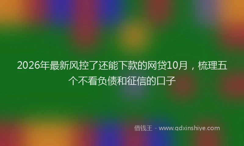 2026年最新风控了还能下款的网贷10月，梳理五个不看负债和征信的口子