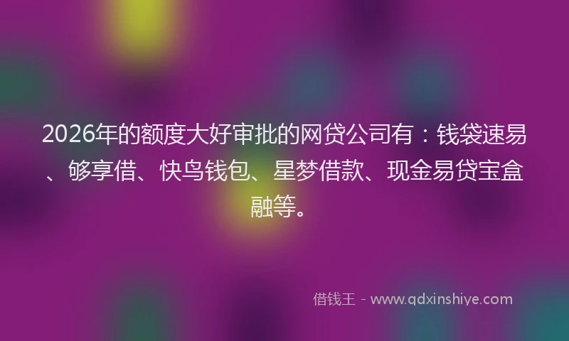 2026年的额度大好审批的网贷公司有：钱袋速易、够享借、快鸟钱包、星梦借款、现金易贷宝盒融等。