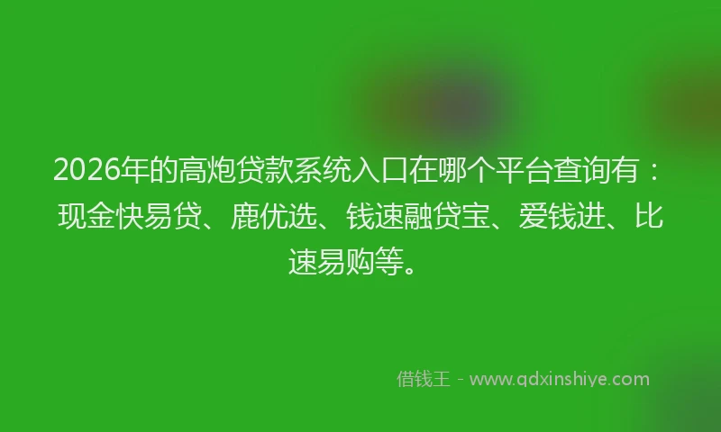 2026年的高炮贷款系统入口在哪个平台查询有：现金快易贷、鹿优选、钱速融贷宝、爱钱进、比速易购等。