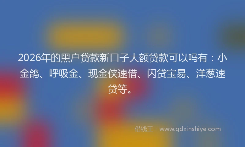 2026年的黑户贷款新口子大额贷款可以吗有：小金鸽、呼吸金、现金侠速借、闪贷宝易、洋葱速贷等。