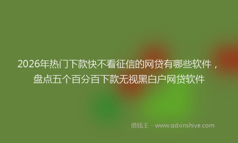 2026年热门下款快不看征信的网贷有哪些软件，盘点五个百分百下款无视黑白户网贷软件