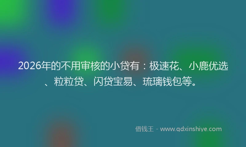 2026年的不用审核的小贷有：极速花、小鹿优选、粒粒贷、闪贷宝易、琉璃钱包等。