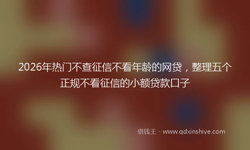 2026年热门不查征信不看年龄的网贷，整理五个正规不看征信的小额贷款口子