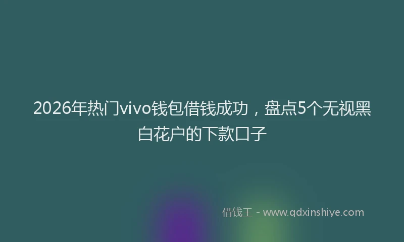 2026年热门vivo钱包借钱成功，盘点5个无视黑白花户的下款口子