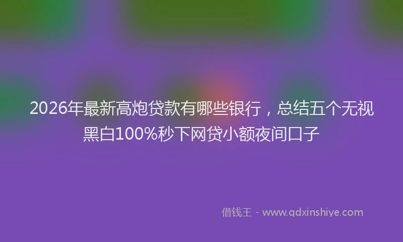 2026年最新高炮贷款有哪些银行，总结五个无视黑白100%秒下网贷小额夜间口子
