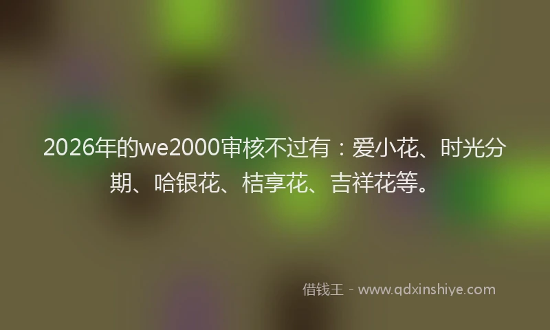 2026年的we2000审核不过有：爱小花、时光分期、哈银花、桔享花、吉祥花等。