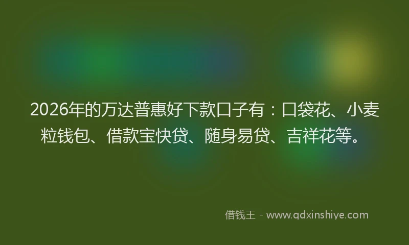 2026年的万达普惠好下款口子有：口袋花、小麦粒钱包、借款宝快贷、随身易贷、吉祥花等。