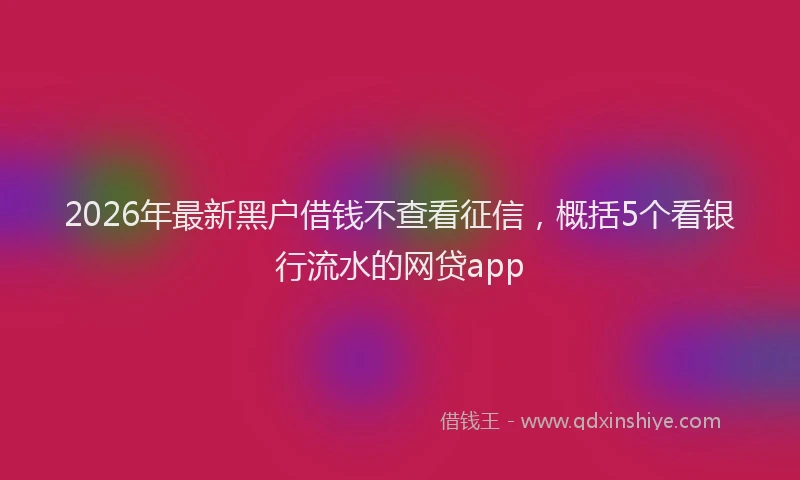 2026年最新黑户借钱不查看征信，概括5个看银行流水的网贷app