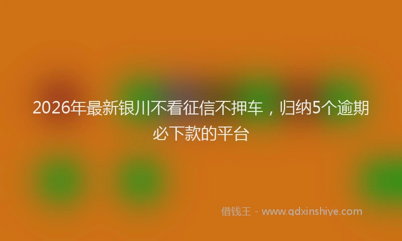 2026年最新银川不看征信不押车，归纳5个逾期必下款的平台