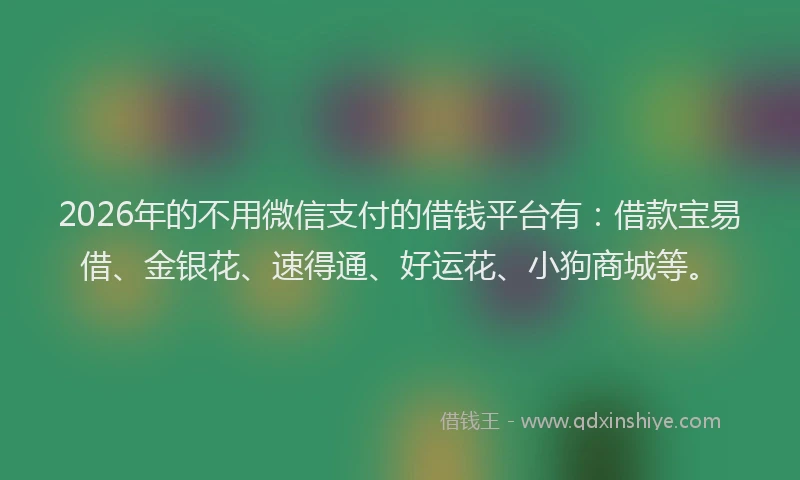 2026年的不用微信支付的借钱平台有：借款宝易借、金银花、速得通、好运花、小狗商城等。
