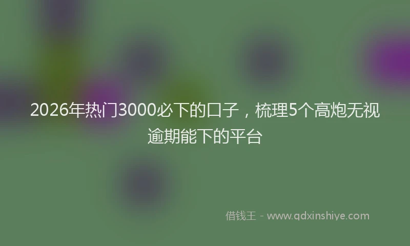 2026年热门3000必下的口子，梳理5个高炮无视逾期能下的平台