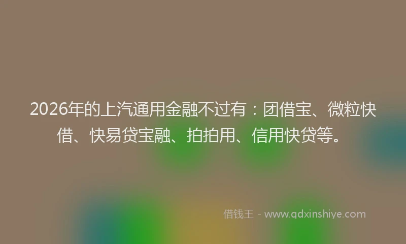 2026年的上汽通用金融不过有：团借宝、微粒快借、快易贷宝融、拍拍用、信用快贷等。