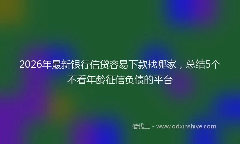 2026年最新银行信贷容易下款找哪家，总结5个不看年龄征信负债的平台