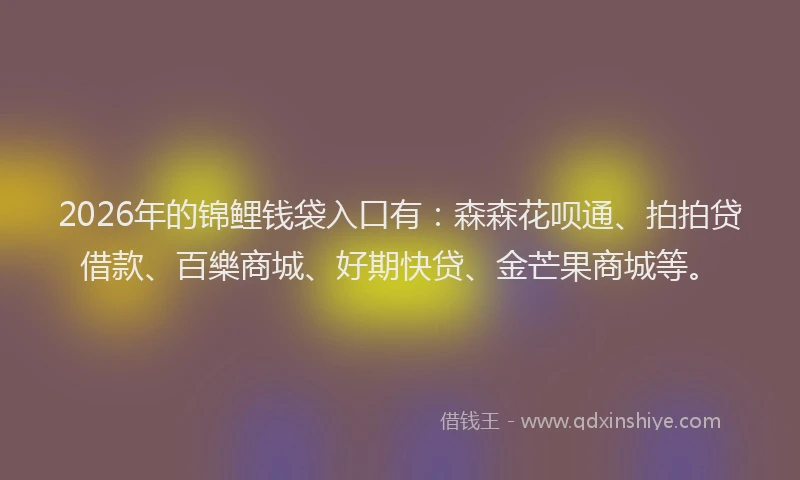 2026年的锦鲤钱袋入口有：森森花呗通、拍拍贷借款、百樂商城、好期快贷、金芒果商城等。