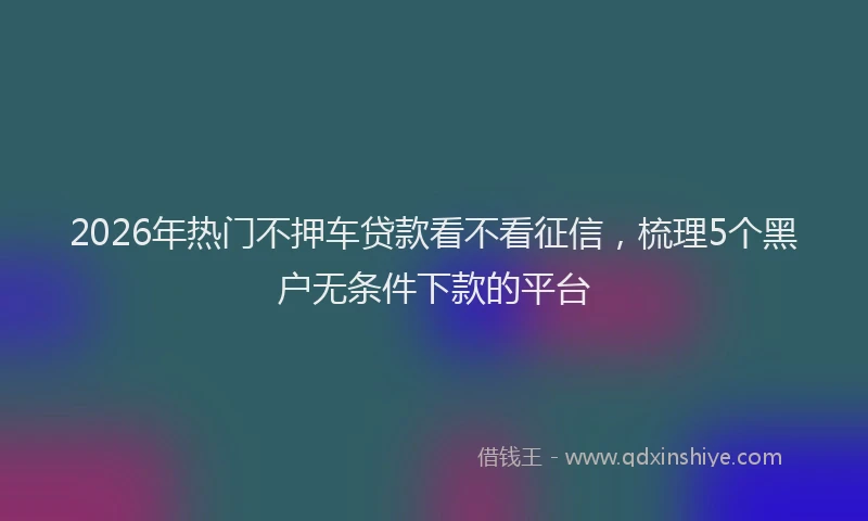 2026年热门不押车贷款看不看征信，梳理5个黑户无条件下款的平台
