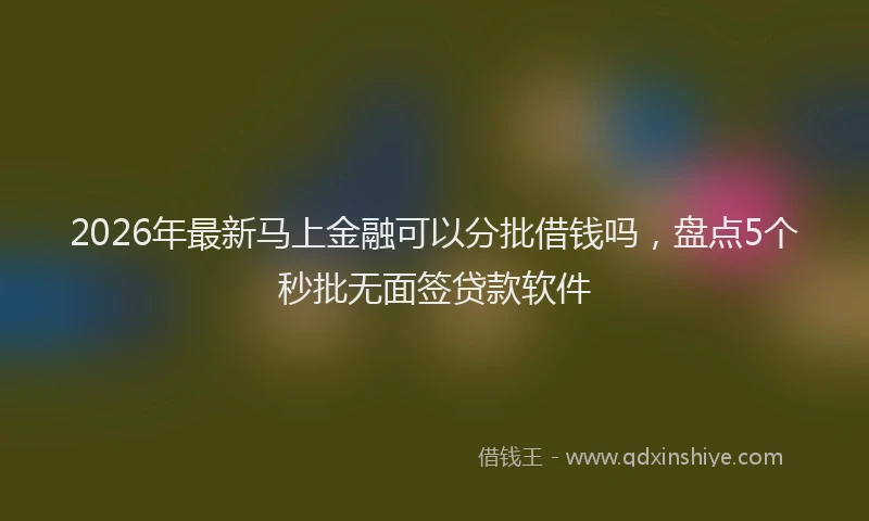 2026年最新马上金融可以分批借钱吗，盘点5个秒批无面签贷款软件